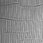 f100V8_53_2cut