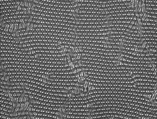 Loading Image