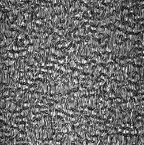 DSM1(700Hz, 53.3V)