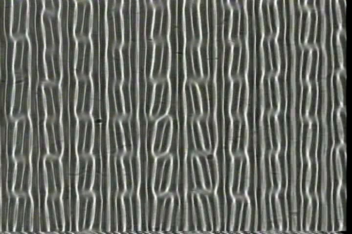 欠陥格子の振動
